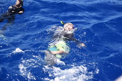 DSC_2602.JPG