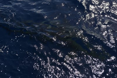 DSC_2617.JPG