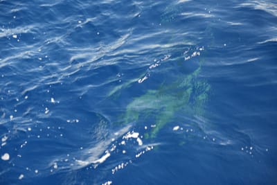 DSC_2618.JPG