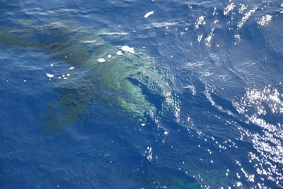 DSC_2627.JPG
