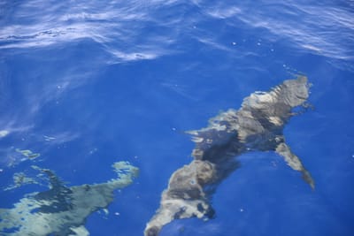 DSC_2639.JPG
