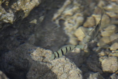 DSC_0406.JPG