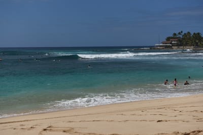 DSC_2525.JPG
