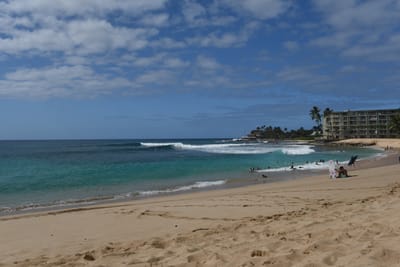DSC_2526.JPG