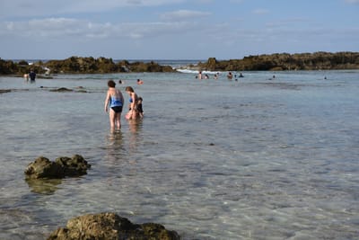 DSC_2654.JPG