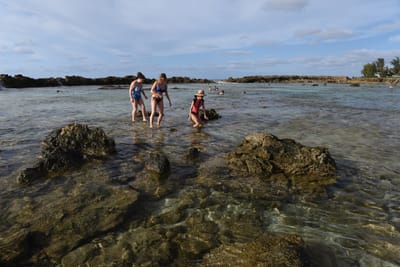 DSC_2660.JPG
