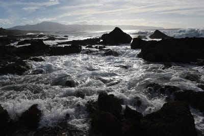 DSC_2678.JPG