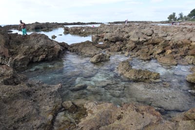 DSC_2690.JPG