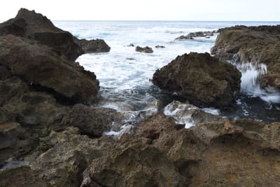 DSC_2691.JPG