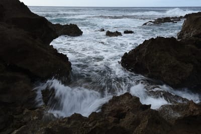 DSC_2694.JPG