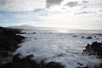 DSC_2698.JPG