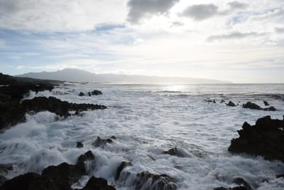 DSC_2699.JPG
