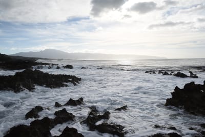 DSC_2700.JPG