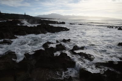 DSC_2703.JPG