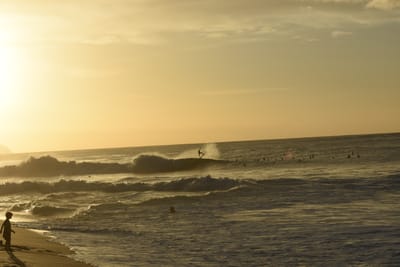 DSC_0445.JPG