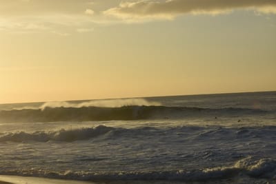 DSC_0447.JPG