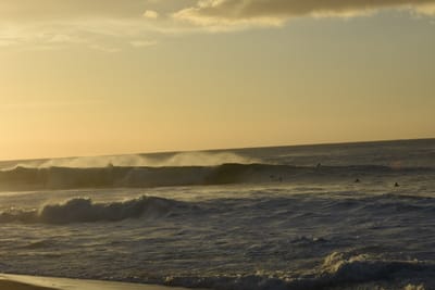 DSC_0448.JPG