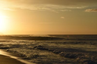 DSC_0450.JPG
