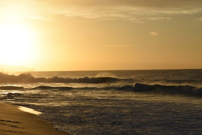 DSC_0452.JPG