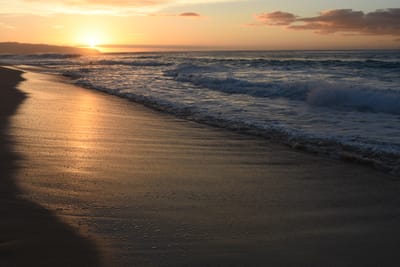 DSC_0473.JPG