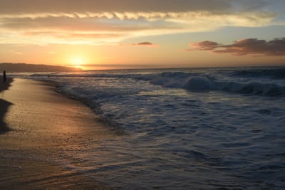DSC_0477.JPG