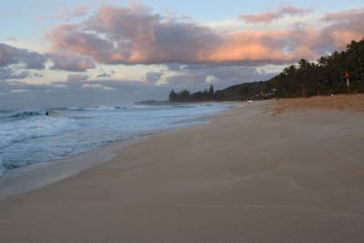 DSC_0481.JPG