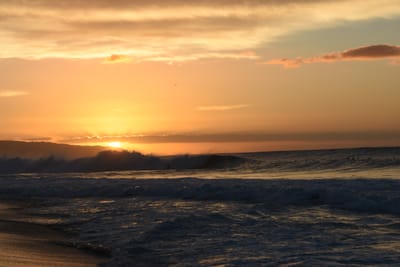 DSC_0482.JPG