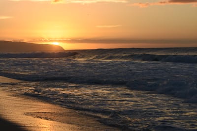 DSC_0483.JPG
