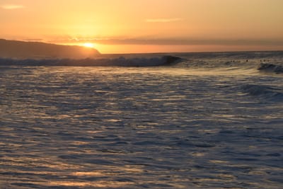 DSC_0484.JPG