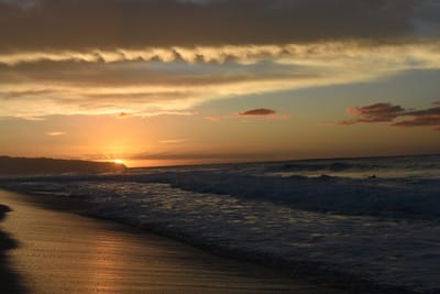 DSC_0485.JPG