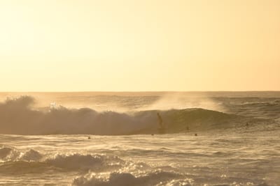 DSC_2728.JPG