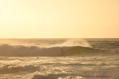 DSC_2729.JPG