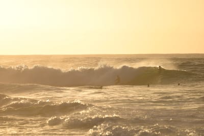 DSC_2730.JPG