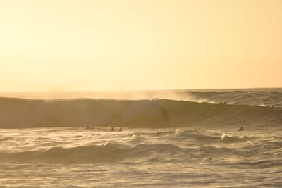 DSC_2731.JPG