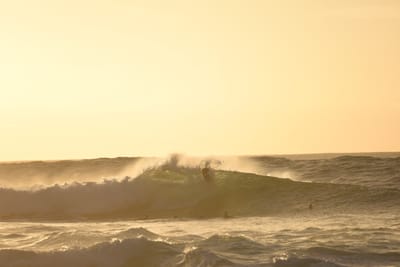 DSC_2732.JPG