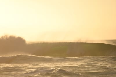 DSC_2734.JPG