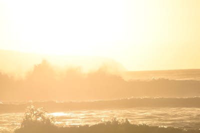 DSC_2735.JPG