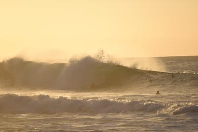 DSC_2738.JPG