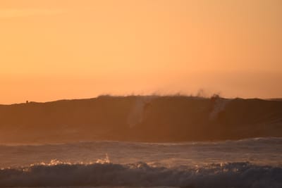 DSC_2760.JPG