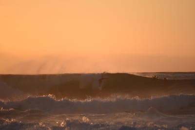 DSC_2764.JPG