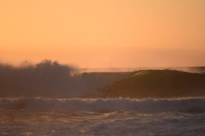 DSC_2766.JPG