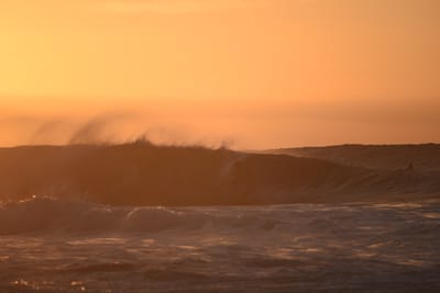 DSC_2767.JPG
