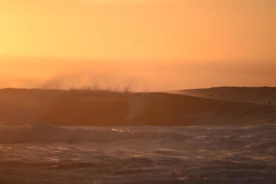 DSC_2768.JPG