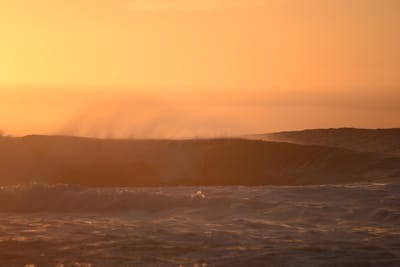 DSC_2769.JPG