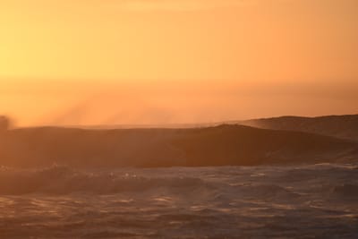 DSC_2770.JPG