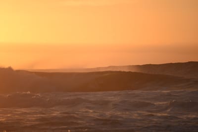 DSC_2771.JPG