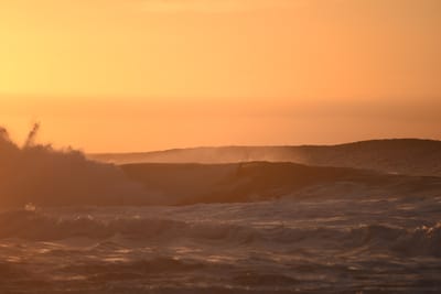 DSC_2772.JPG