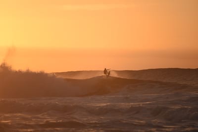 DSC_2773.JPG