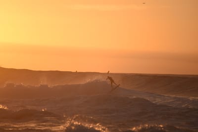 DSC_2776.JPG