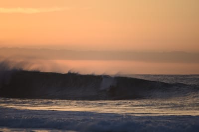 DSC_2782.JPG